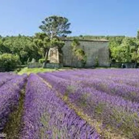 Independant Drome Provencale * Puygiron