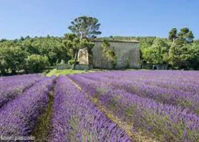 Independant Drome Provencale * Puygiron